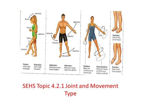 SEHS Topic Joint and Movement Type