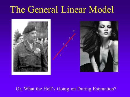 The General Linear Model Or, What the Hell’s Going on During Estimation?