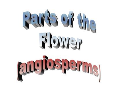 Parts of the Flower (angiosperms).