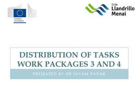 DISTRIBUTION OF TASKS WORK PACKAGES 3 AND 4 PRESENTED BY DR SHYAM PATIAR.