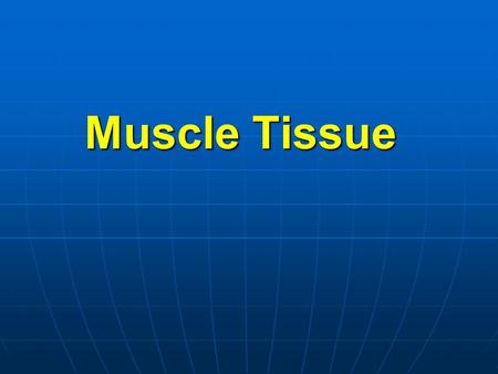 Muscle Tissue. General Characteristics Muscle tissue is composed of muscle cells, with CT between them. Muscle tissue is composed of muscle cells, with.