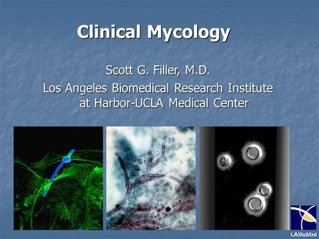 Clinical Mycology Scott G. Filler, M.D. Los Angeles Biomedical Research Institute at Harbor-UCLA Medical Center.
