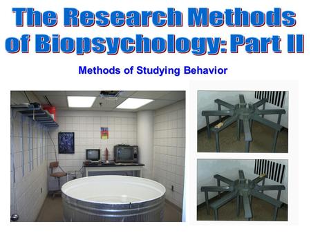 Methods of Studying Behavior. Open Field Test A measure of general activity. In automated versions infrared sensors or video tracking is used to obtain.