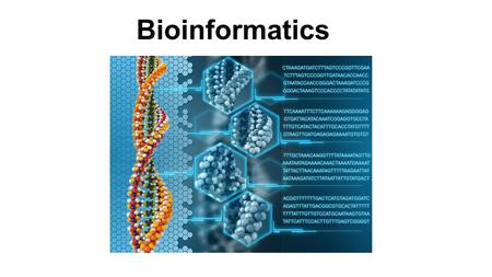 Bioinformatics. Bioinformatics is an applied science that uses computer programs to access molecular biology databanks to make inferences about the information.