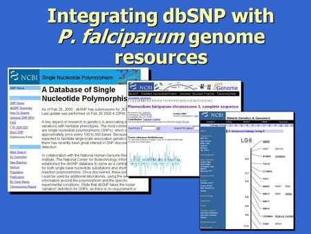 Integrating dbSNP with P. falciparum genome resources.
