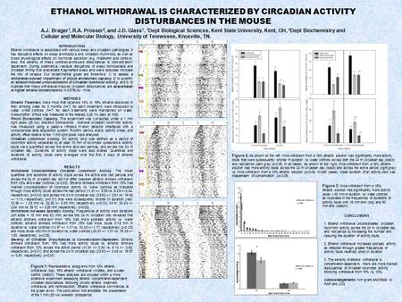 ETHANOL WITHDRAWAL IS CHARACTERIZED BY CIRCADIAN ACTIVITY DISTURBANCES IN THE MOUSE INTRODUCTION Ethanol withdrawal is associated with various sleep and.