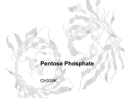 Pentose Phosphate CH339K. Pentose Phosphate An example of a pathway that can be both: Anabolic –Generates ribose-5-phosphate for nucleotide synthesis.