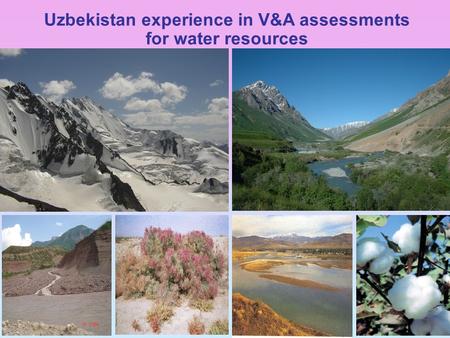 Uzbekistan experience in V&A assessments for water resources.