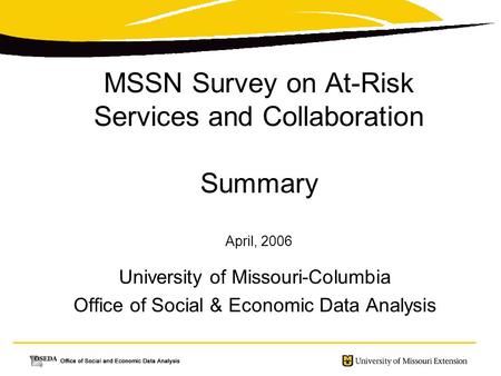 MSSN Survey on At-Risk Services and Collaboration Summary April, 2006 University of Missouri-Columbia Office of Social & Economic Data Analysis.