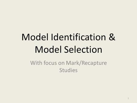 Model Identification & Model Selection