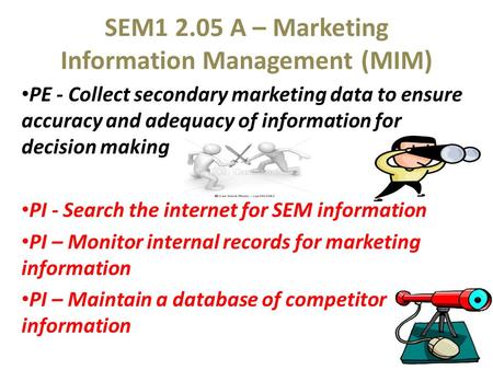 SEM A – Marketing Information Management (MIM)