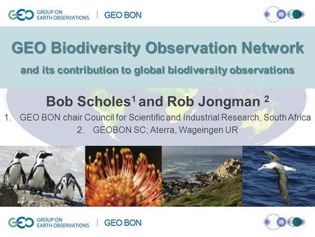 GEO Biodiversity Observation Network and its contribution to global biodiversity observations Bob Scholes 1 and Rob Jongman 2 1.GEO BON chair Council for.