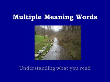 Multiple Meaning Words Understanding what you read.