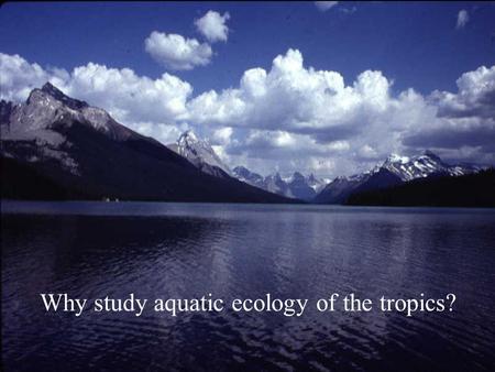 Why study aquatic ecology of the tropics?.
