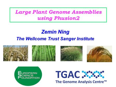 Large Plant Genome Assemblies using Phusion2 Zemin Ning The Wellcome Trust Sanger Institute.