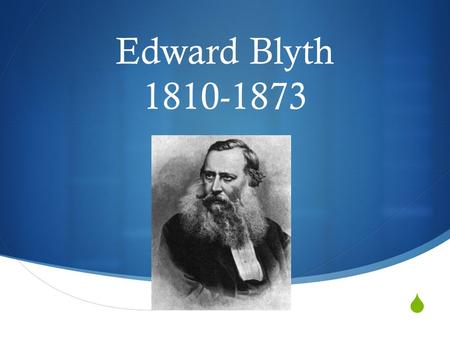  Edward Blyth 1810-1873. Early Life  Born in London in 1810  Father died shortly after, leaving Edward to take care of family  Never attended a formal.