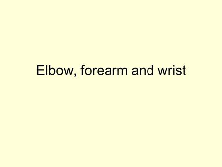 Elbow, forearm and wrist. THIS IS AN AXIAL IMAGE ABOVE THE LEVEL OF THE ELBOW JOINT, MEDIAL IS THE BOTTOM OF THE IMAGE, LATERAL IS THE TOP OF THE IMAGE,