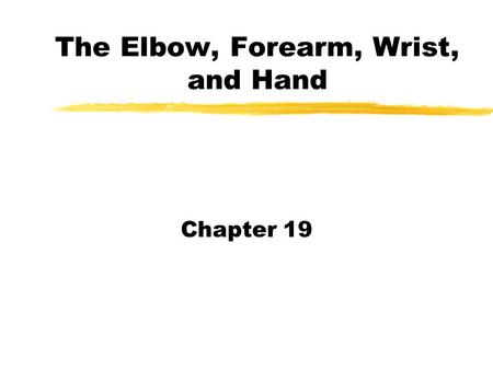 The Elbow, Forearm, Wrist, and Hand Chapter 19. zBones zArticulations zLigaments and Capsule zSynovium and Bursa zMusculature zNerve Supply zBlood Supply.