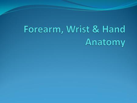 Forearm, Wrist & Hand Anatomy