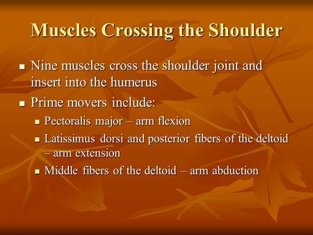 Muscles Crossing the Shoulder