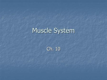 Muscle System Ch. 10.