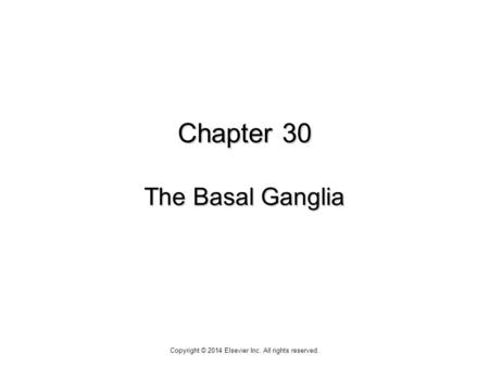 Chapter 30 The Basal Ganglia Copyright © 2014 Elsevier Inc. All rights reserved.