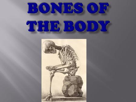 Fun Facts About Bones That You Should Know Babies have more bones than adults We have around 350 bones that we are born with. As we grow up, the number.