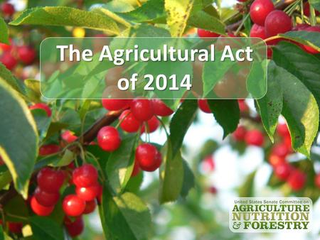 The Agricultural Act of 2014. Outline Timeline Budget Policy Issues Commodity Title Risk Management Options Crop Insurance Conservation Programs Questions.