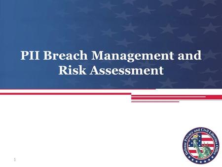 PII Breach Management and Risk Assessment