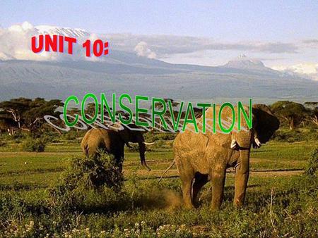 UNIT 10: CONSERVATION.