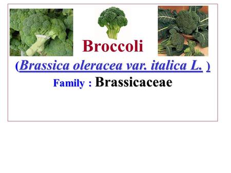 Broccoli (Brassica oleracea var. italica L. ) Family : Brassicaceae