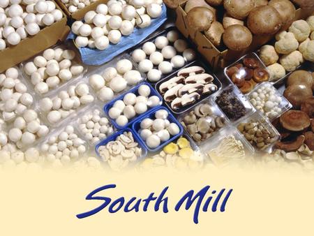Company Presentation. Company Profile South Mill, and their growing division Kaolin Mushroom Farms, is one of the five largest mushroom growers/packers/distributors.