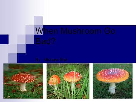When Mushroom Go Bad? By Michael Mai. Outline Mushroom species belonging to Amanita genus - Toxin Species of Amanita General Information - Poisonous vs.