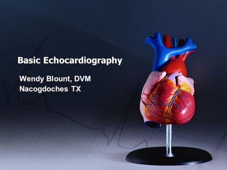 Basic Echocardiography Wendy Blount, DVM Nacogdoches TX Wendy Blount, DVM Nacogdoches TX.