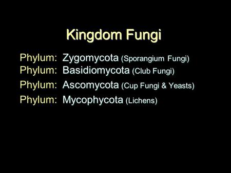 Kingdom Fungi Phylum: Zygomycota (Sporangium Fungi) Phylum: Basidiomycota (Club Fungi) Phylum: Ascomycota (Cup Fungi & Yeasts) Phylum: Mycophycota.