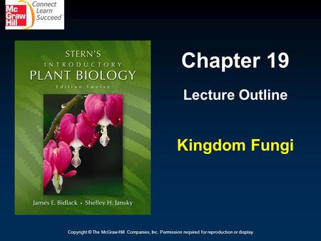Chapter 19 Kingdom Fungi Lecture Outline