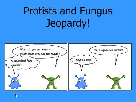 Protists and Fungus Jeopardy!. ProtistsFungusProtist 2Fungus 2Random 100 200 300 400 500.