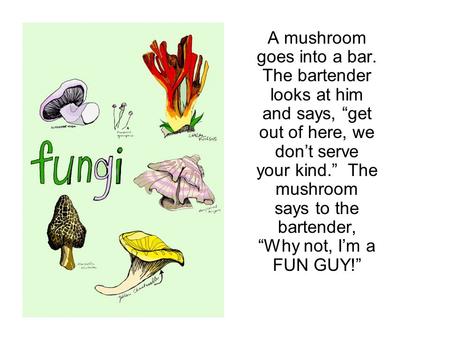 A mushroom goes into a bar