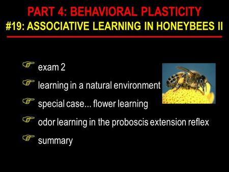 F exam 2 F learning in a natural environment F special case... flower learning F odor learning in the proboscis extension reflex F summary PART 4: BEHAVIORAL.