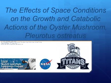 The Effects of Space Conditions on the Growth and Catabolic Actions of the Oyster Mushroom, Pleurotus ostreatus Principal Investigator: Mark Liang Co-