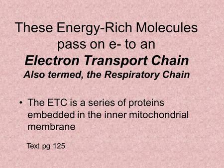 These Energy-Rich Molecules pass on e- to an Electron Transport Chain Also termed, the Respiratory Chain The ETC is a series of proteins embedded in the.