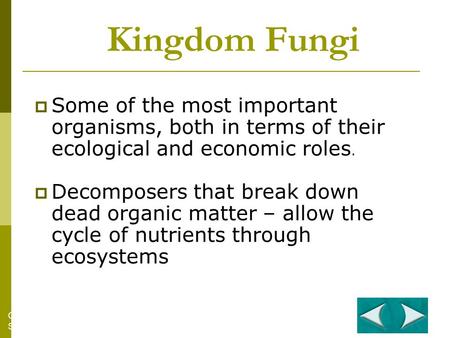 Kingdom Fungi  Some of the most important organisms, both in terms of their ecological and economic roles.  Decomposers that break down dead organic.