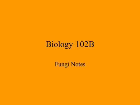 Biology 102B Fungi Notes. Journal 5 Why are algae of importance to all living things? Give at least three reasons.