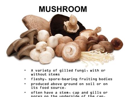 MUSHROOM A variety of gilled fungi, with or without stems fleshy, spore-bearing fruiting bodies produced above ground on soil or on its food source. often.