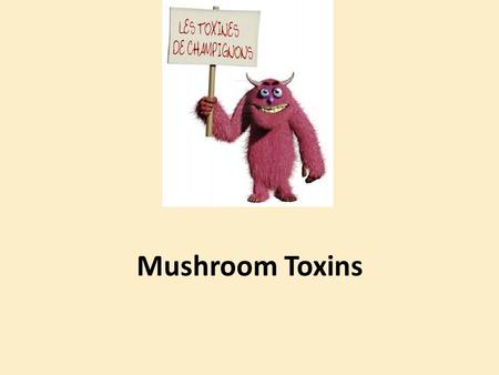 Mushroom Toxins.