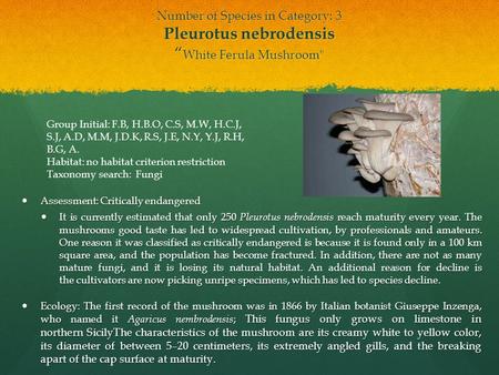Number of Species in Category: 3 Pleurotus nebrodensis “ White Ferula Mushroom Assessment: Critically endangered Assessment: Critically endangered It.