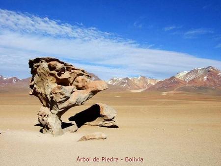 Árbol de Piedra - Bolivia Bárdenas Reales - Navarra - Spain.