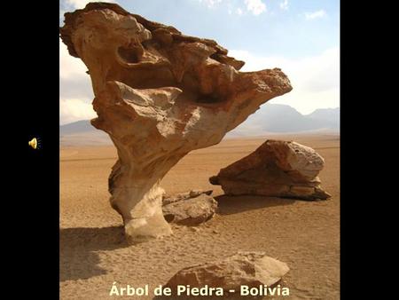 Árbol de Piedra - Bolivia. Bárdenas Reales – Navarra.España.
