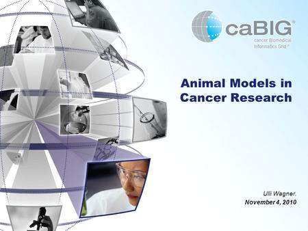 Animal Models in Cancer Research Ulli Wagner. November 4, 2010.