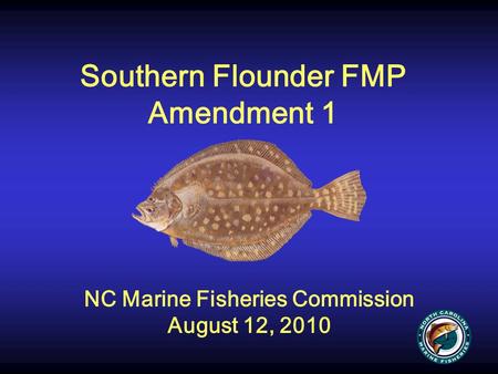 Southern Flounder FMP Amendment 1